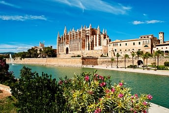 Coliving Space In Mallorca Valencia Tenerife Palma Coliving About Us